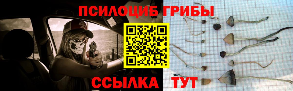 Майский  Псилоцибиновые грибы прущие грибы  Вход с VPN 